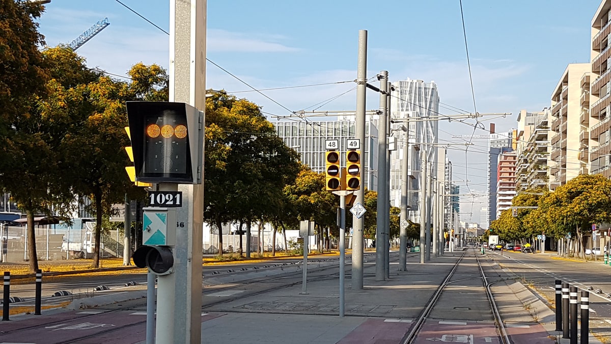 Vía de tranvía y semáforos en una avenida arbolada con edificios de fondo.