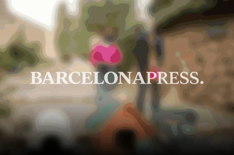 Tarragona lanza programa pionero para proteger a gatos callejeros y sus cuidadoras
