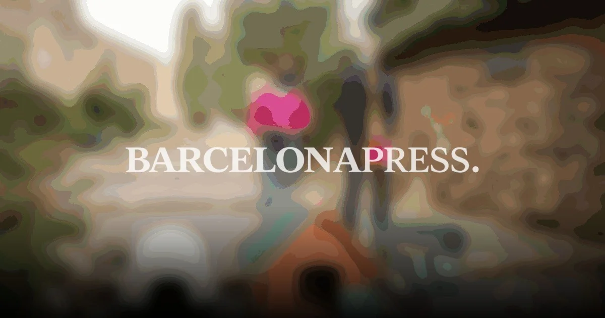 Tarragona lanza programa pionero para proteger a gatos callejeros y sus cuidadoras