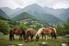 aristot implementa silvopasto con ponis pottoka para prevenir incendios 7623