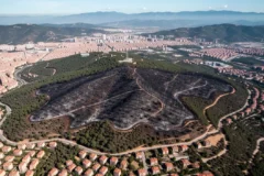 collserola enfrenta crisis ambiental tras incendios devastadores 7810