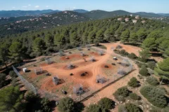 la peste porcina en collserola provoca perdidas de 755 millones a productores 8105